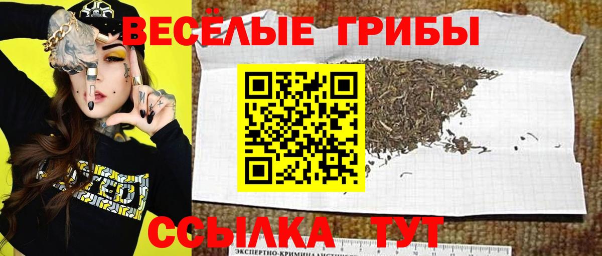 Вышний Волочёк  Псилоцибиновые грибы мицелий  Псилоцибиновые грибы мицелий  Вход с VPN 